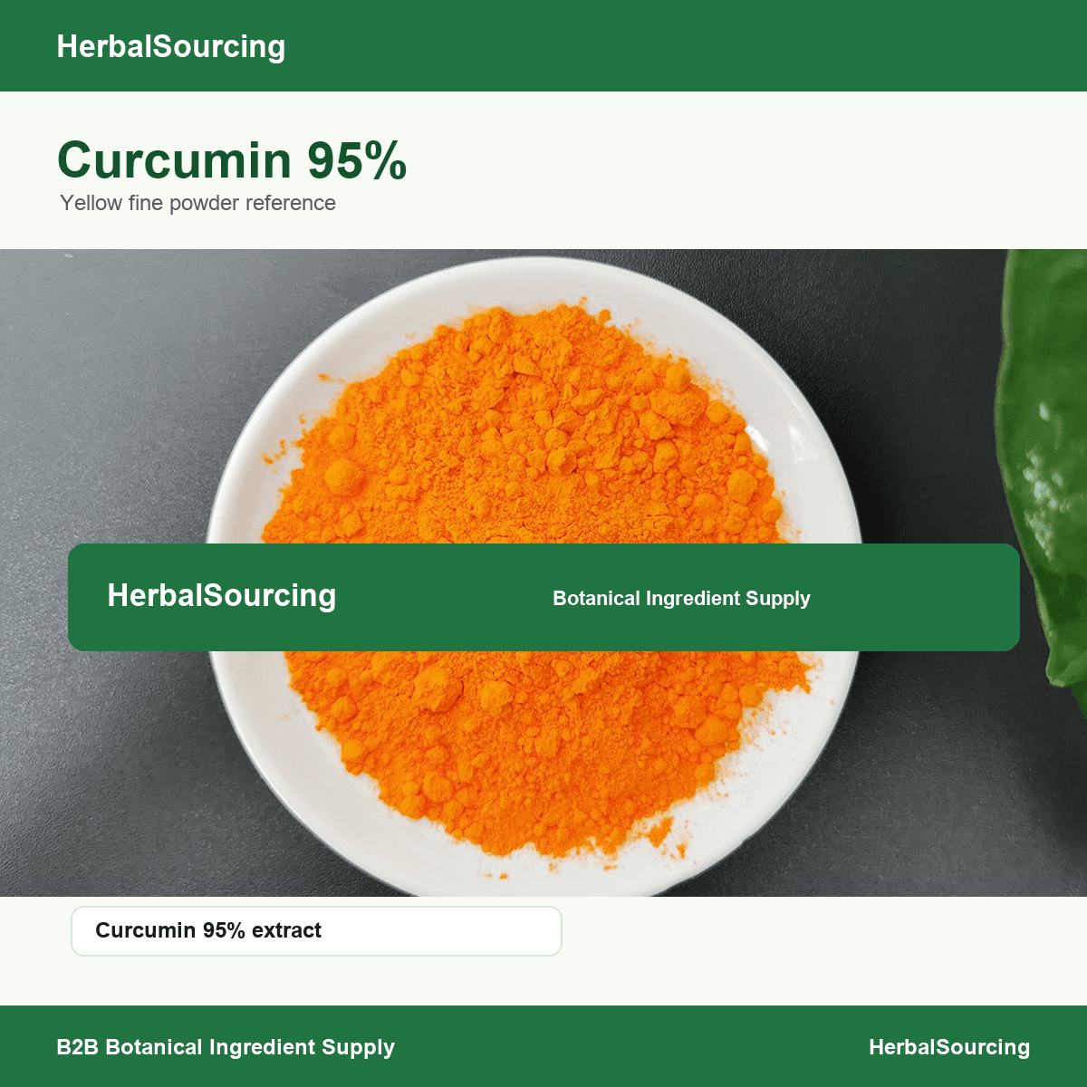 Curcumin 95 percent orange powder dish reference