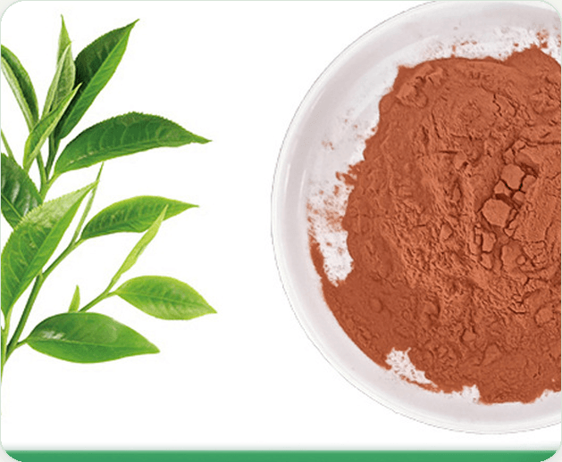 Green Tea Extract / Tea Polyphenols product reference