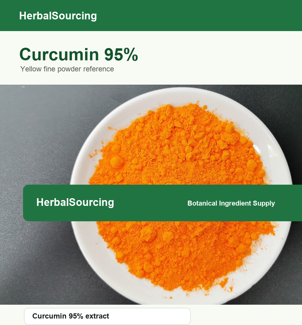 Curcumin 95 percent orange powder dish reference