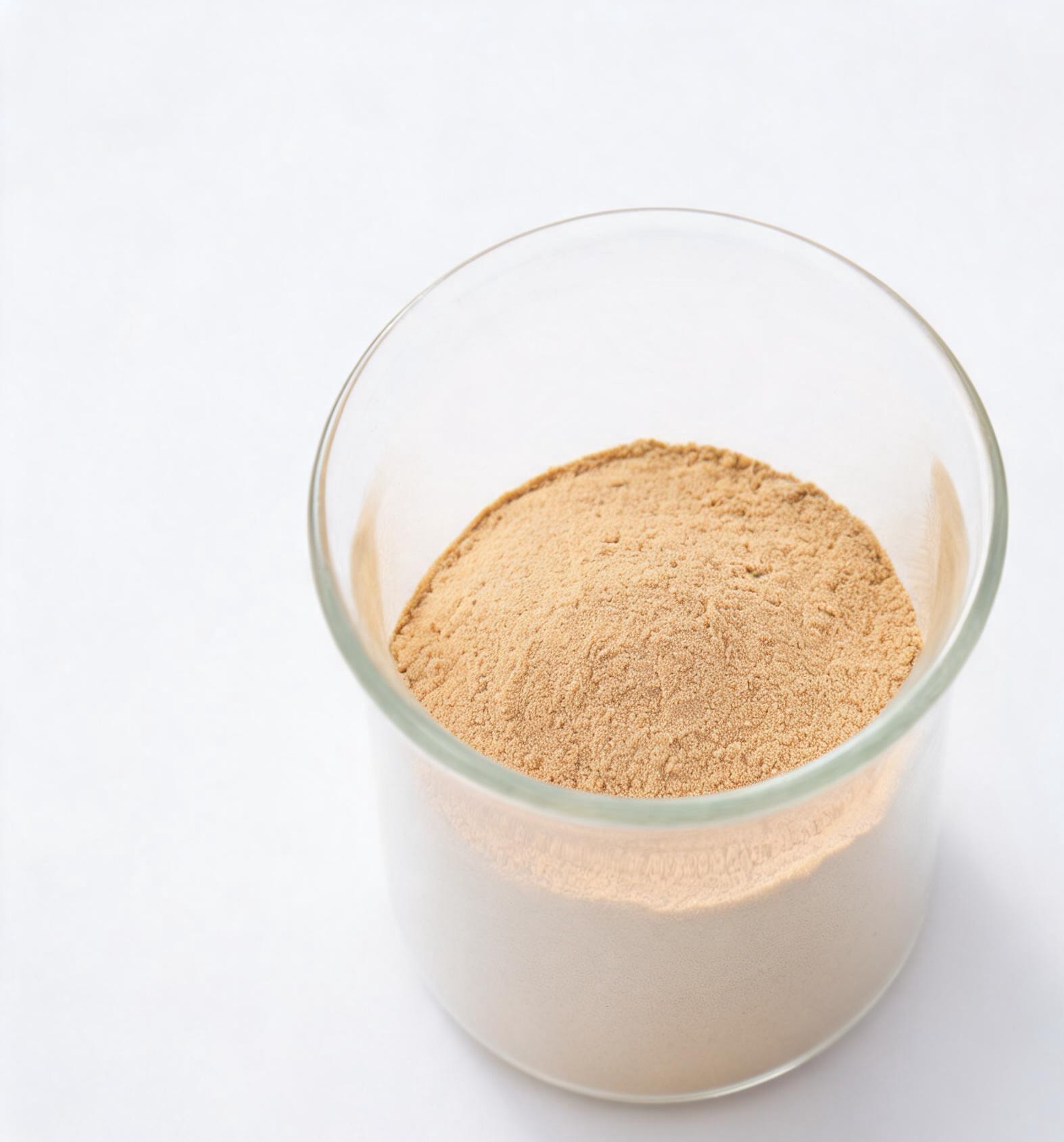 Lion's Mane Mushroom Extract